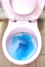 CN25B 藍泡泡消毒沖廁劑